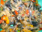 кадича (овощи жареные)